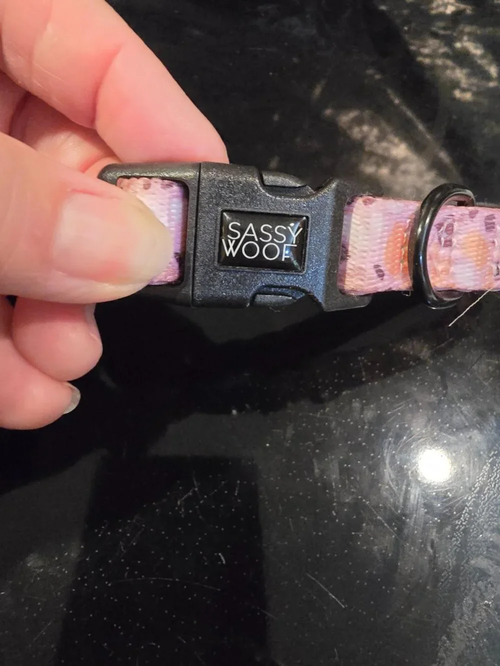 Pink Small Dog Harness Vibrant Life Dog Leash Sassy Woof NEW